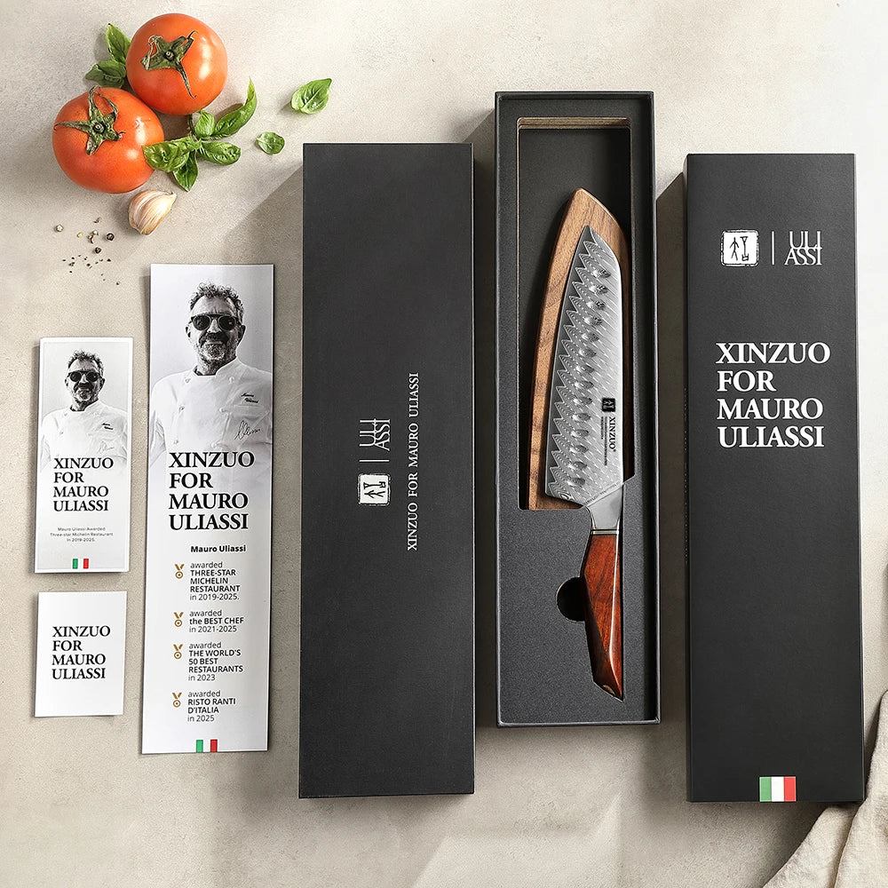 XINZUO x Uliassi 73-Layer Damascus Santoku Knife 7.28" Damascus Santoku Knife Axl