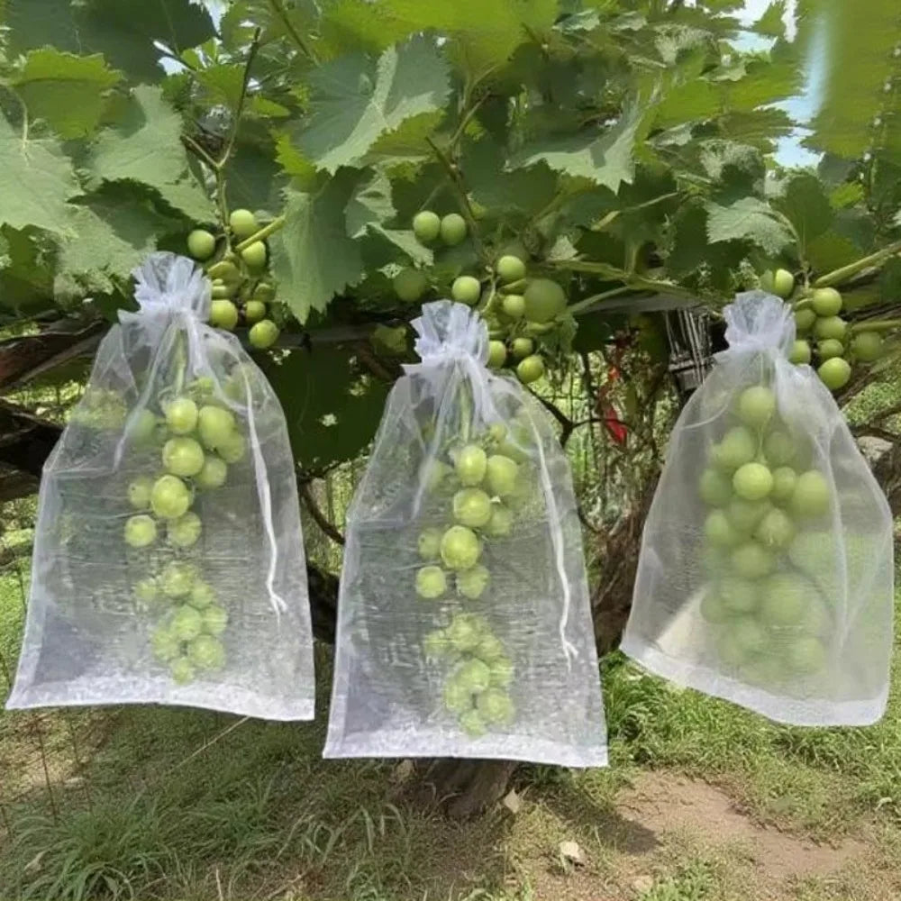 10-Pack Nylon Fruit Protection Bags – Pest & Bird Netting Fruit Protection Bags Axl