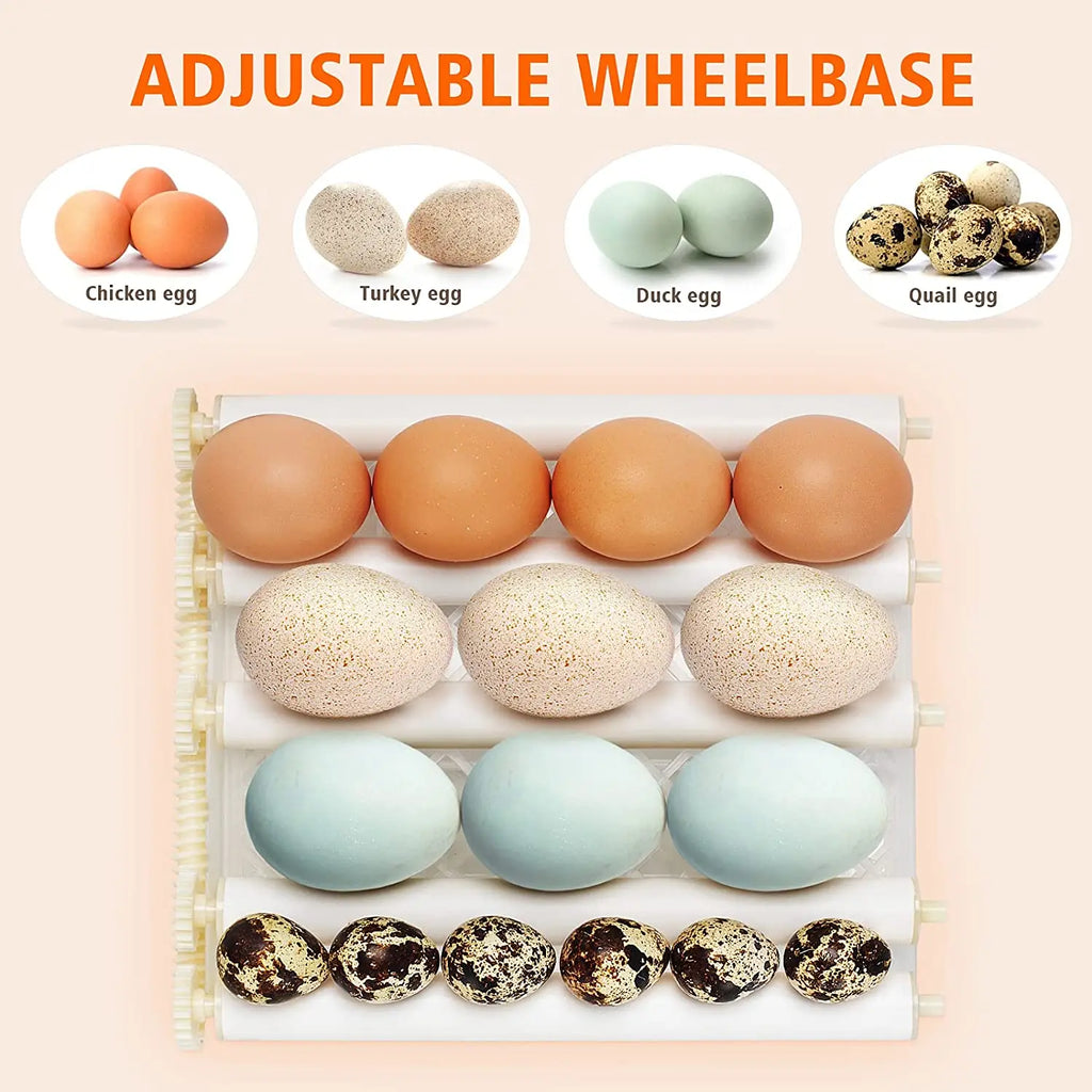 16-Egg Digital Automatic Egg Incubator with Auto Turner Egg Incubator Axl