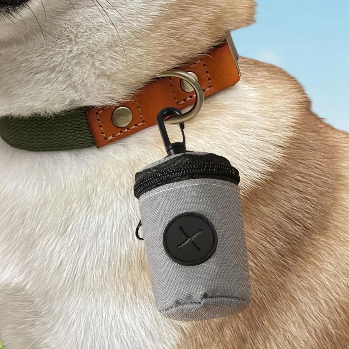 Dog Poop Bag Holder – Portable Waste Bag Dispenser Pouch Pet Waste Bag Holder Axl