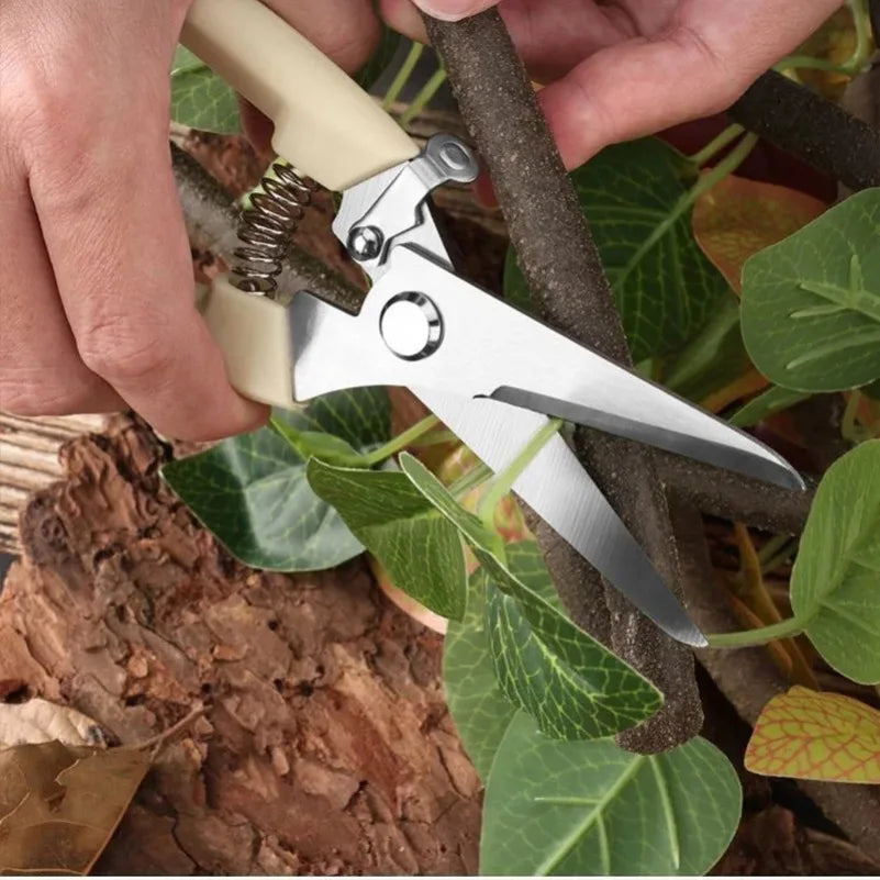 Stainless Steel Pruning Scissors – Flower, Garden & Grafting Pruning Scissors Axl
