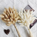 120pcs Dried Rabbit Tail Grass Pampas Bouquet | Boho Decor Dried Flower Bouquet Axl Natural White