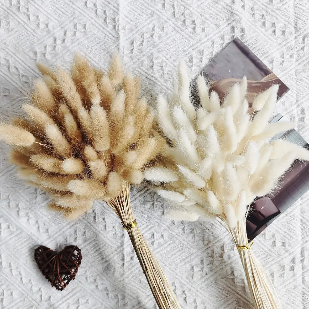 120pcs Dried Rabbit Tail Grass Pampas Bouquet | Boho Decor Dried Flower Bouquet Axl Natural White