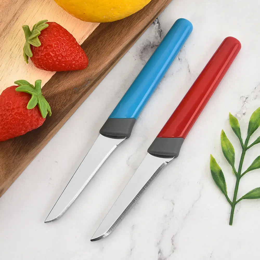 4-Piece Stainless Steel Paring Knife Set – Colorful Fruit Knives Paring Knife Set Axl