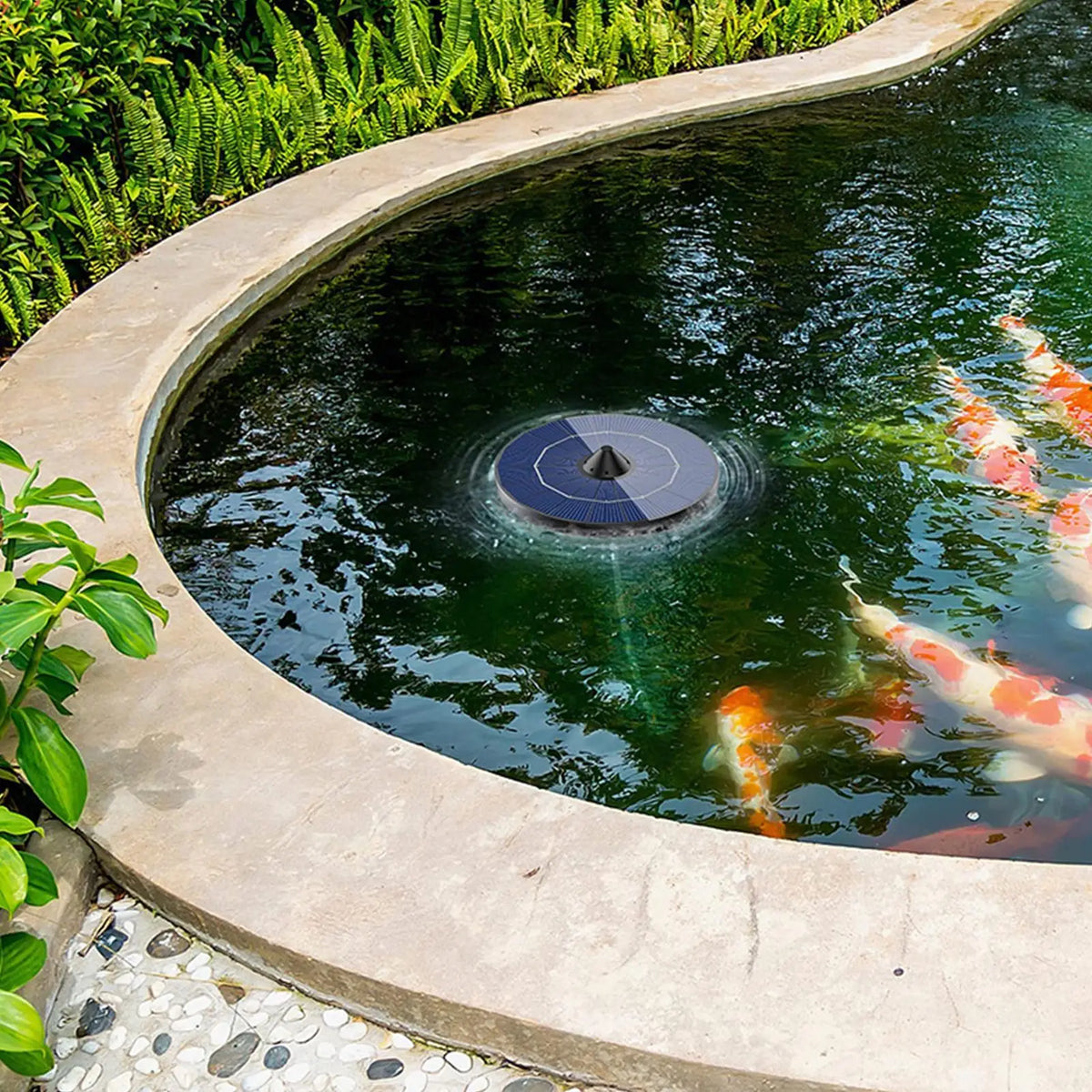 Solar Floating Pond Aerator Kit – 2.5W Air Pump & 1.5M Hose Solar Pond Aerator Axl