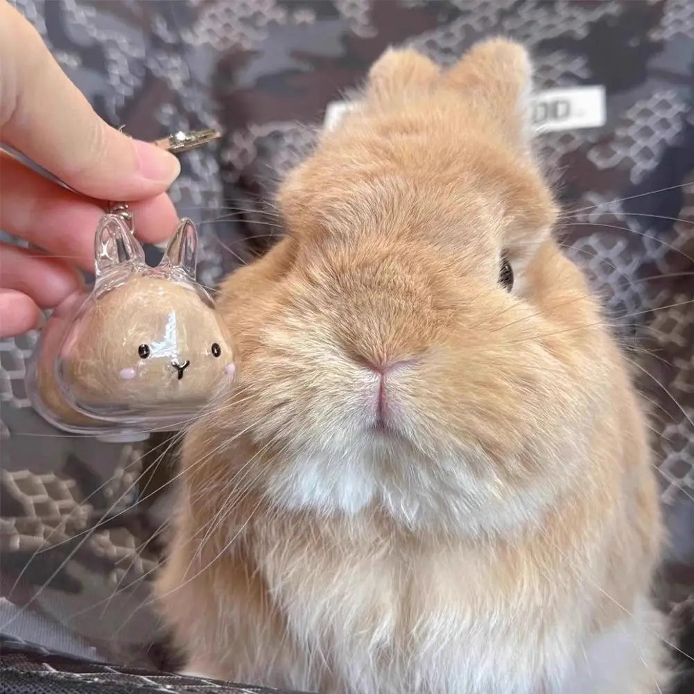 Rabbit Pet Fur Keepsake Capsule Keychain – Transparent Pendant Keepsake Keychain Axl