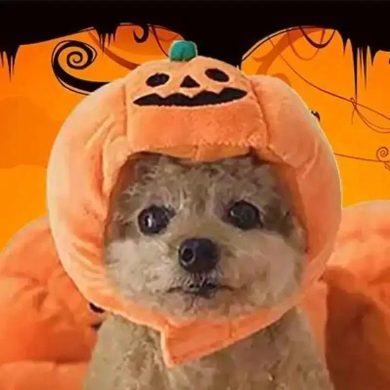 Pet Halloween Pumpkin Hat – Plush Costume for Cats & Dogs Pet Costume Hat Axl