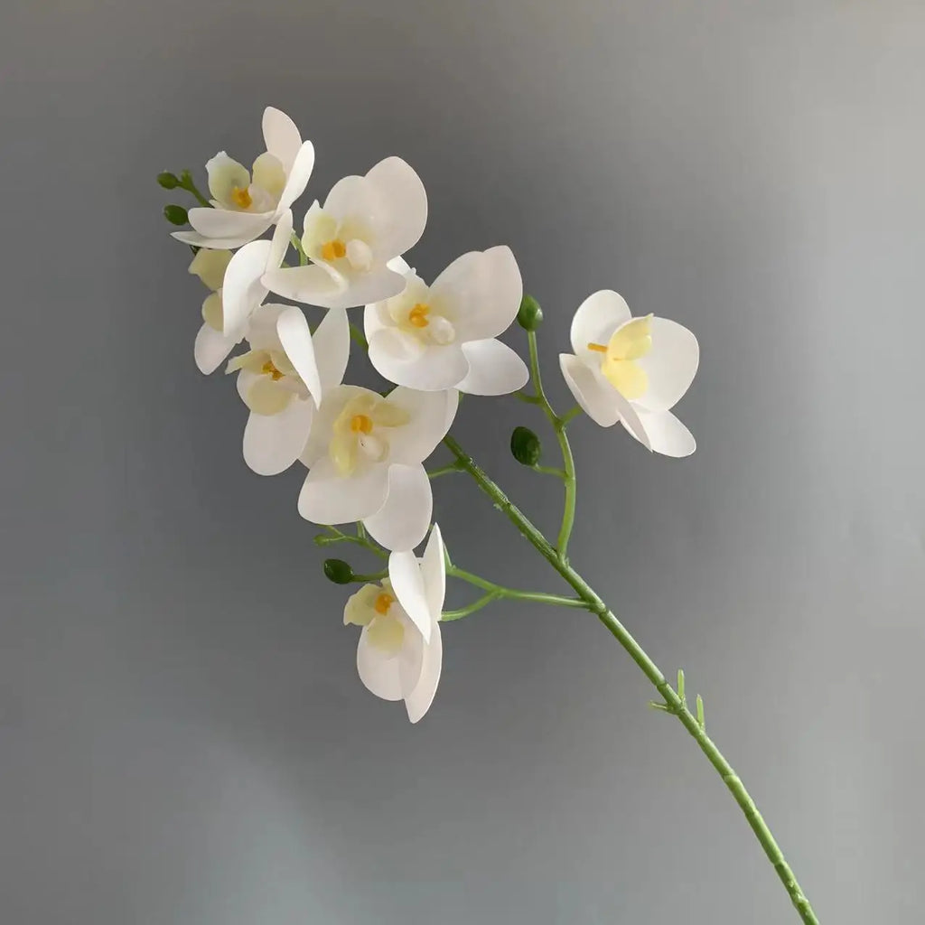 10-Pack Artificial Mini Orchid Stems – 8-Head Latex Phalaenopsis Artificial Flower Stems Axl white