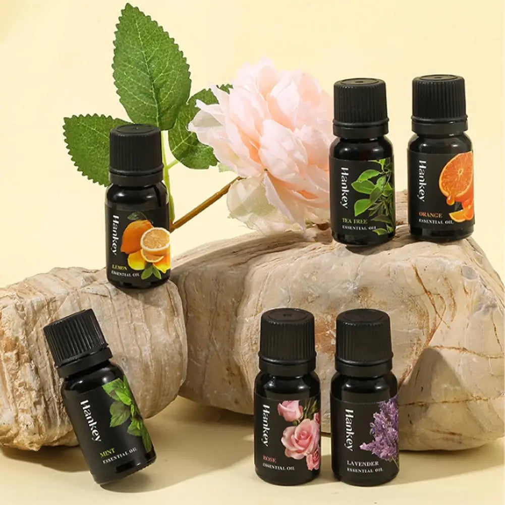 10ml Plant Fragrance Oil for Diffuser, DIY Candle & Soap Fragrance Essential Oil Axl