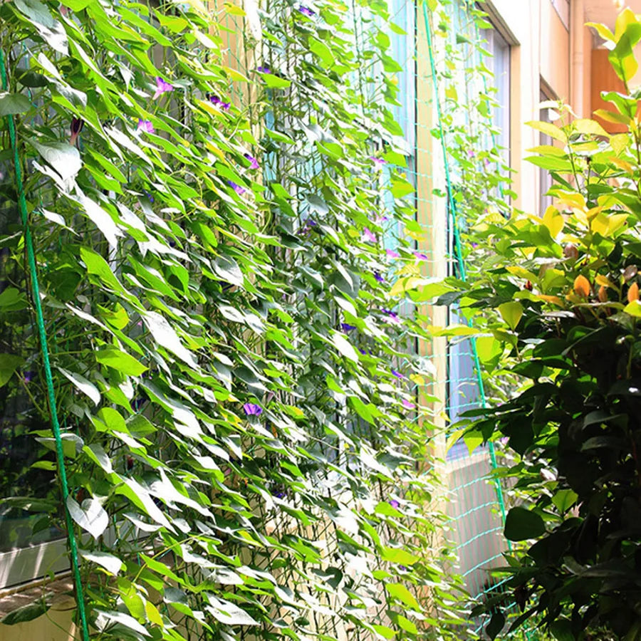 Garden Trellis Netting – Heavy-Duty Nylon Plant Climbing Net Garden Trellis Net Axl 90x180cm
