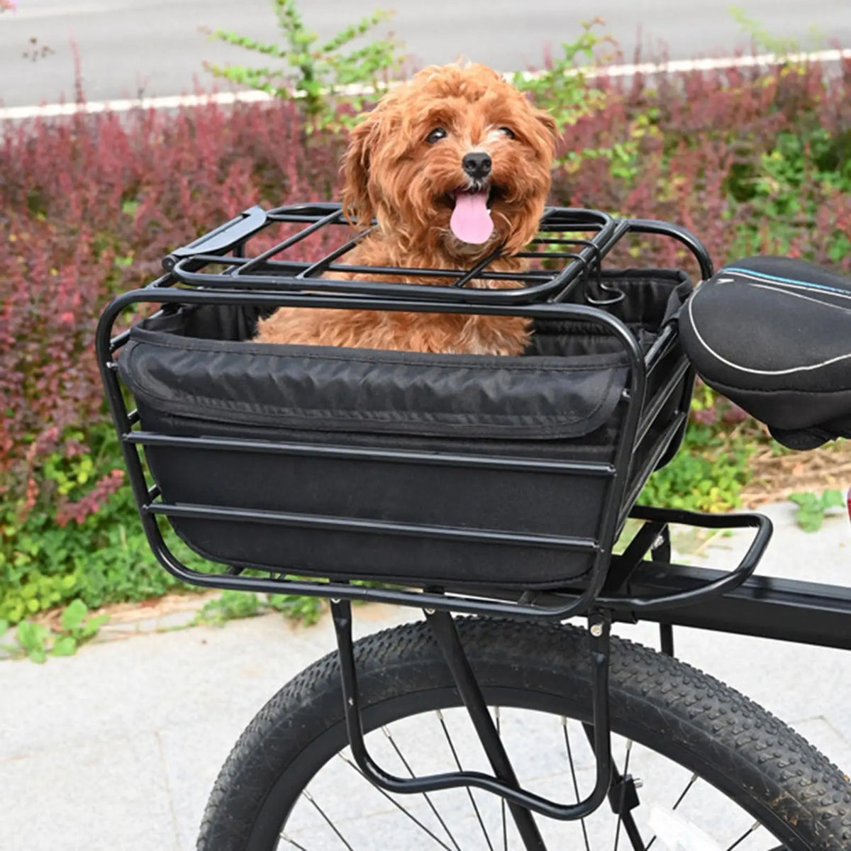 Bicycle Rear Basket with Locking Cover – Bike Dog Carrier Bike Rear Basket Axl
