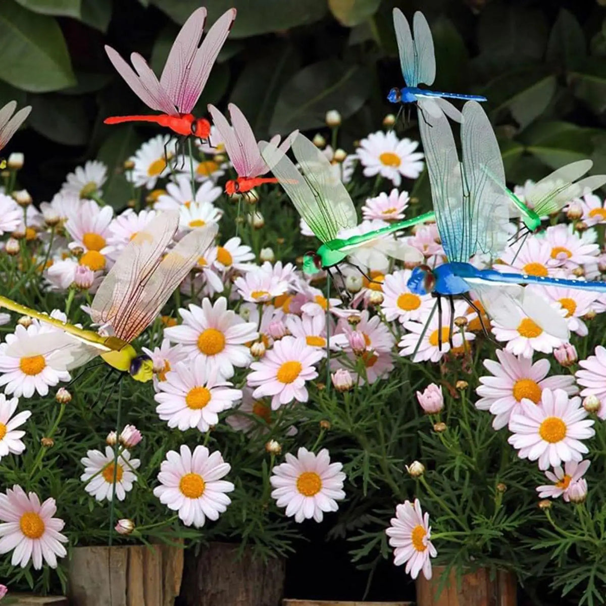 12-Pack Realistic Dragonfly Clips – Garden & Hat Decor Garden Decor Clips Axl