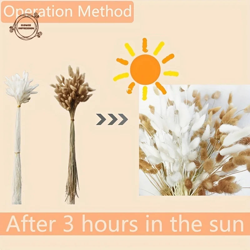 120pcs Dried Rabbit Tail Grass Pampas Bouquet | Boho Decor Dried Flower Bouquet Axl