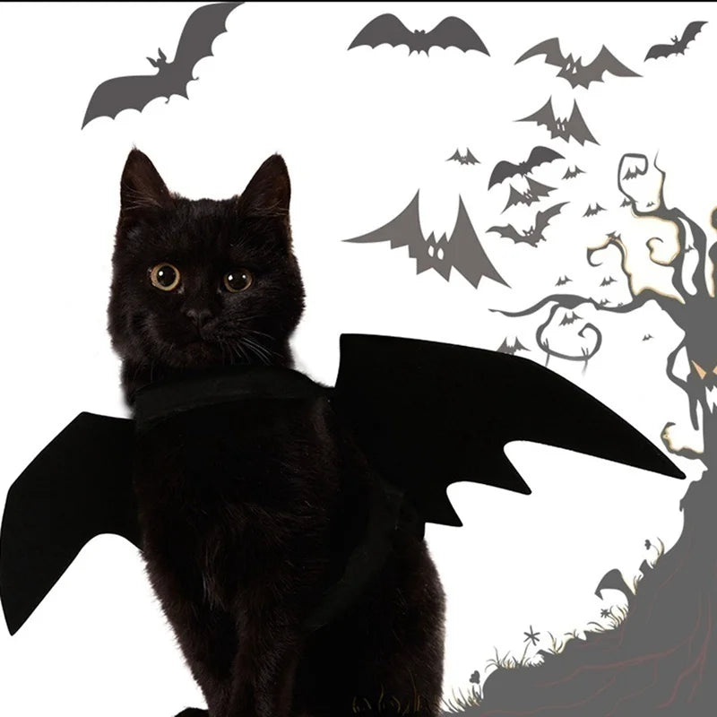 Pet Bat Wing Harness Costume – Halloween Outfit for Cats & Dogs Pet Halloween Costume Axl