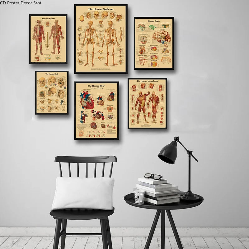 Retro Anatomy Skeleton Poster – Kraft Paper Wall Art A3/A4 Wall Art Poster Axl
