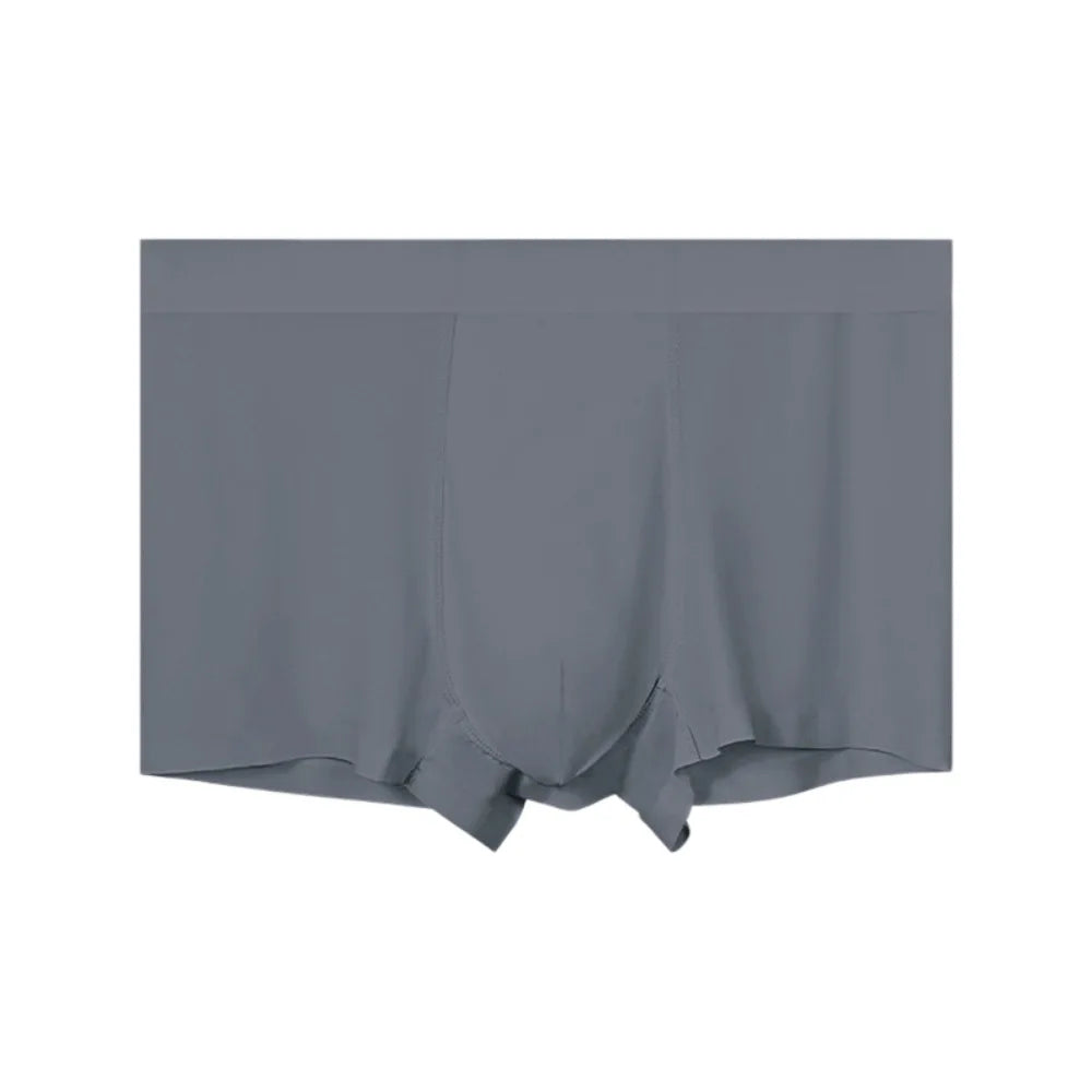 Men's Ice Silk Boxer Briefs – Soft Nylon Underwear L–4XL Men's Boxer Briefs Axl Grey L