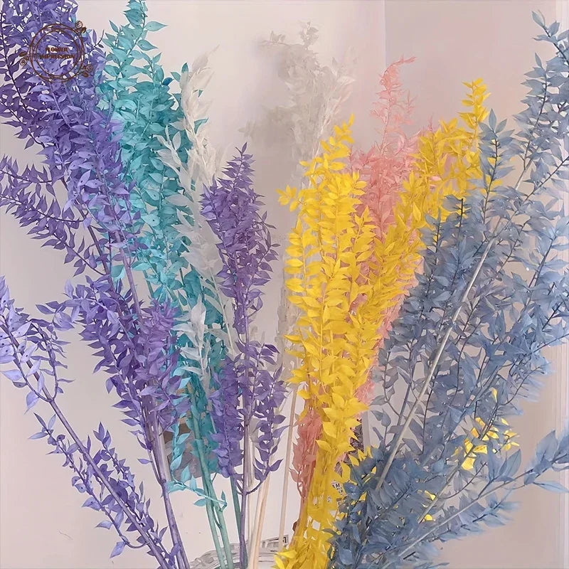 Natural Ruscus Dried Flower Bouquet 40g – Boho Home Decor Dried Flower Bouquet Axl