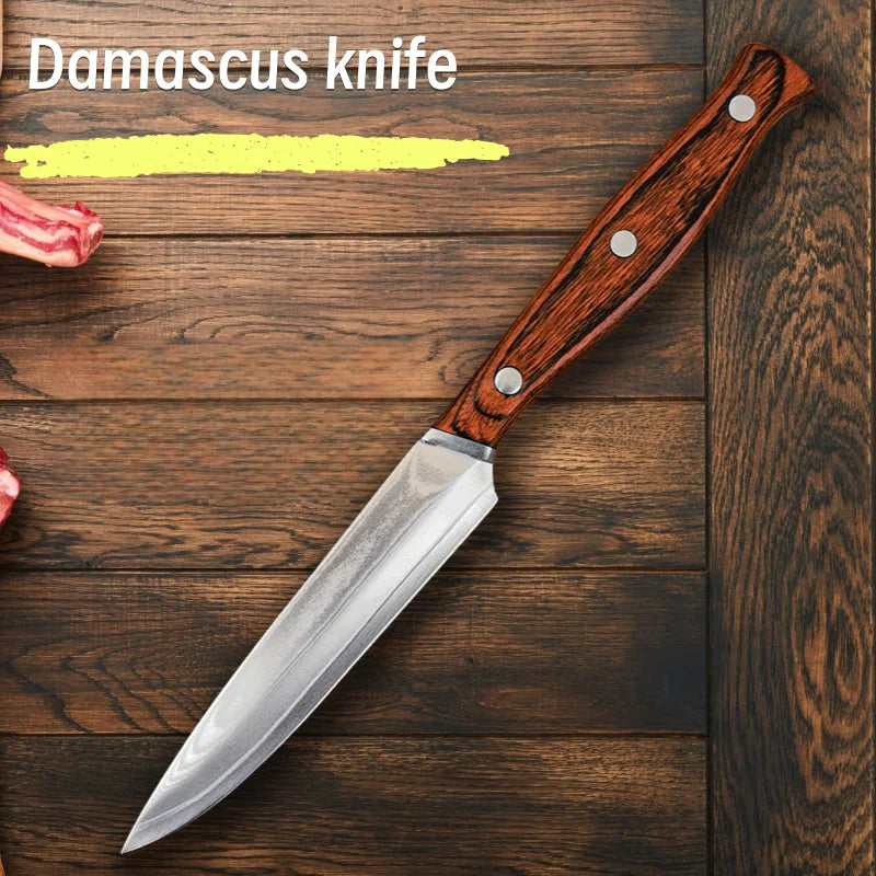 67-Layer Damascus VG10 Paring Knife – Fruit & Steak Knife Damascus Paring Knife Axl
