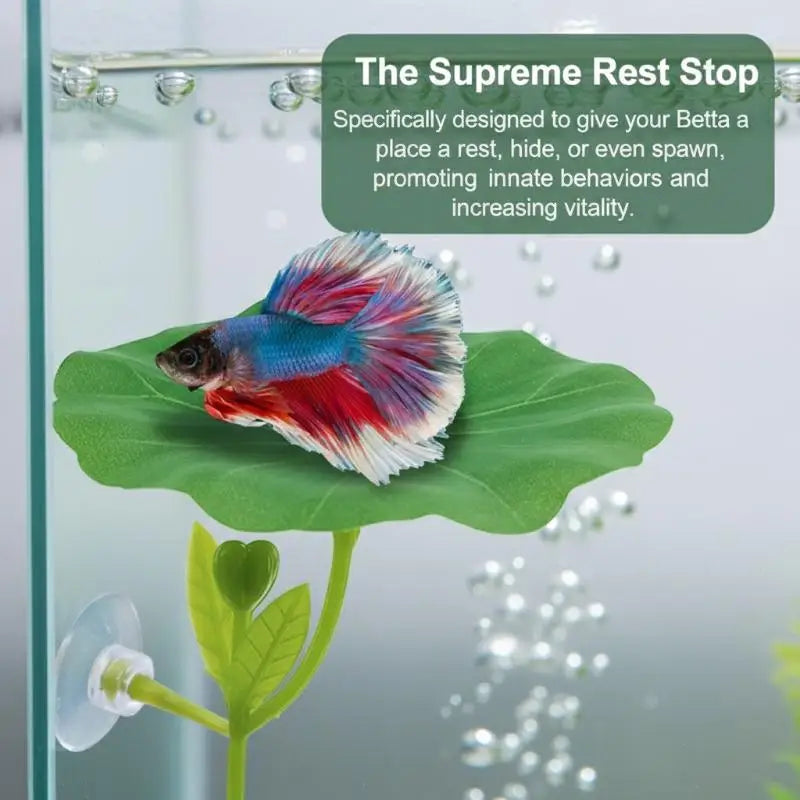 Betta Fish Leaf Hammock – Aquarium Rest & Hide Bed Aquarium Fish Hammock Axl