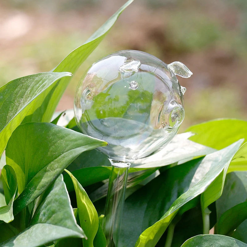 Glass Self-Watering Plant Feeder | Automatic Drip Irrigation Plant Watering Device Axl