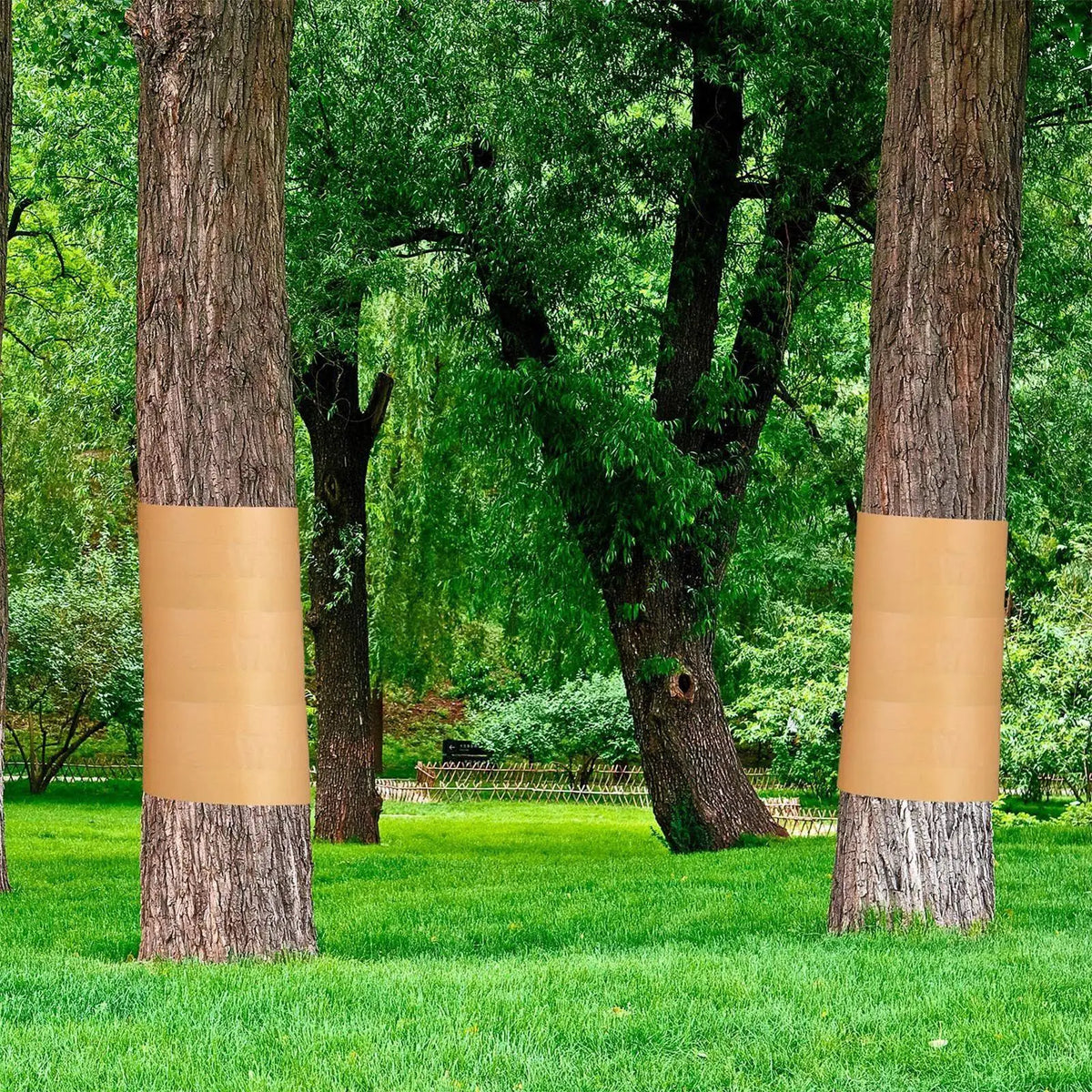 50M Tree Barrier Tape – Sticky Caterpillar Shield for Trees Tree Barrier Tape Axl