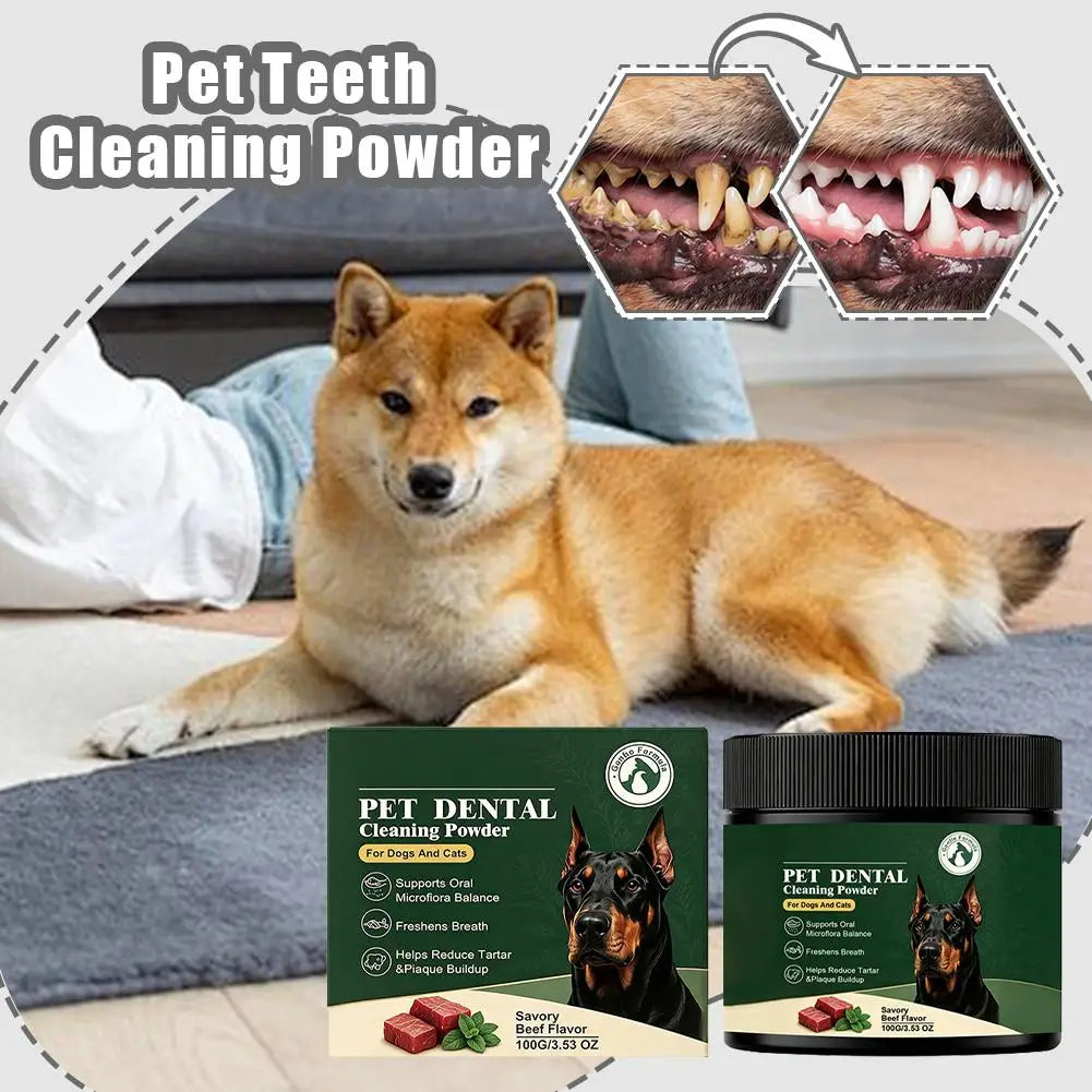 Pet Dental Powder for Dogs & Cats – Beef Flavor, 100g Pet Dental Powder Axl