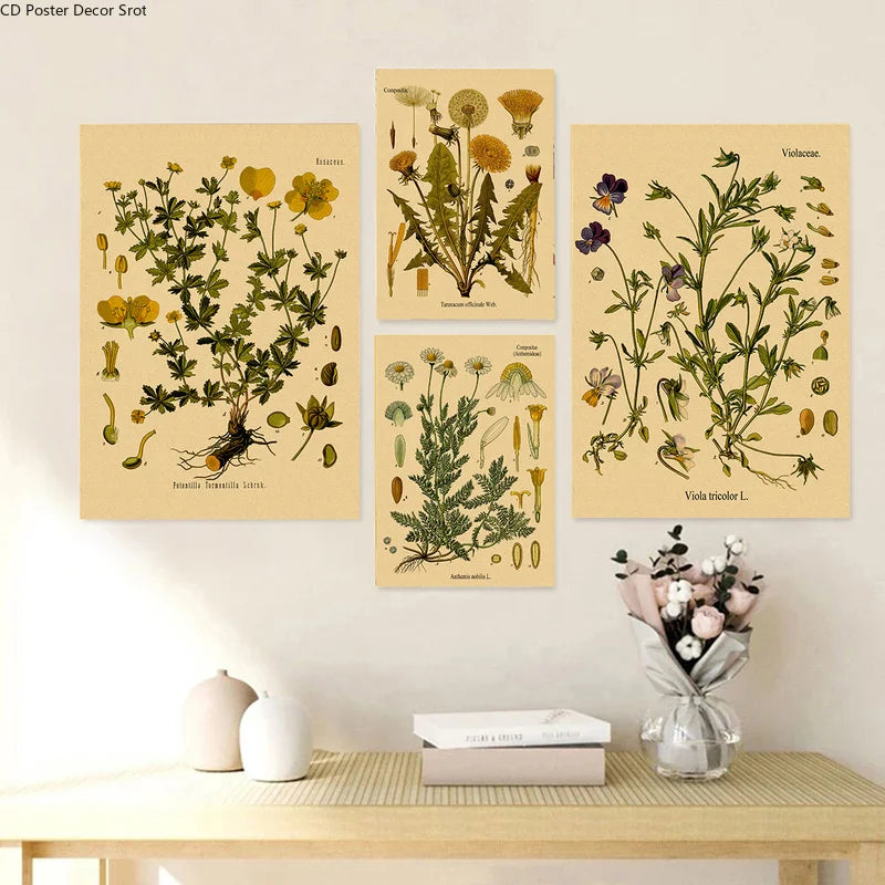 Botanical Herb & Flower Retro Kraft Paper Poster | Vintage Wall Art Decorative Wall Poster Axl