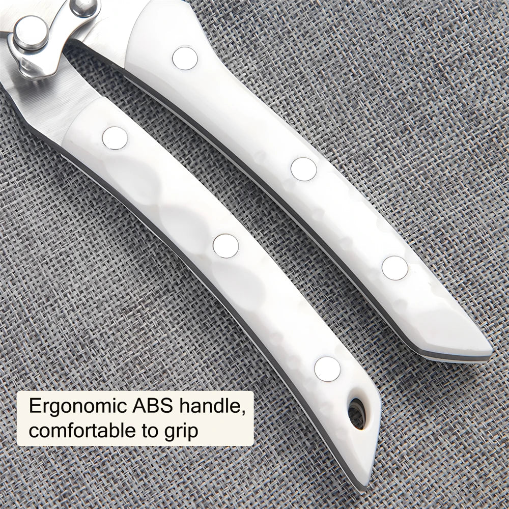 Professional Stainless Steel Kitchen Scissors & Food Shears Kitchen Scissors Axl