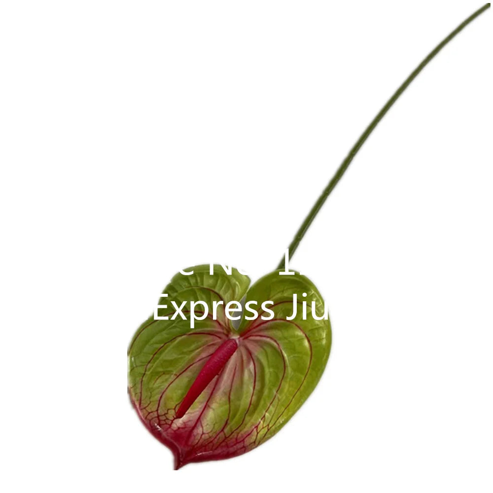 Burgundy Artificial Anthurium Stem 60cm | Faux Floral Branch Artificial Flower Stem Axl light green