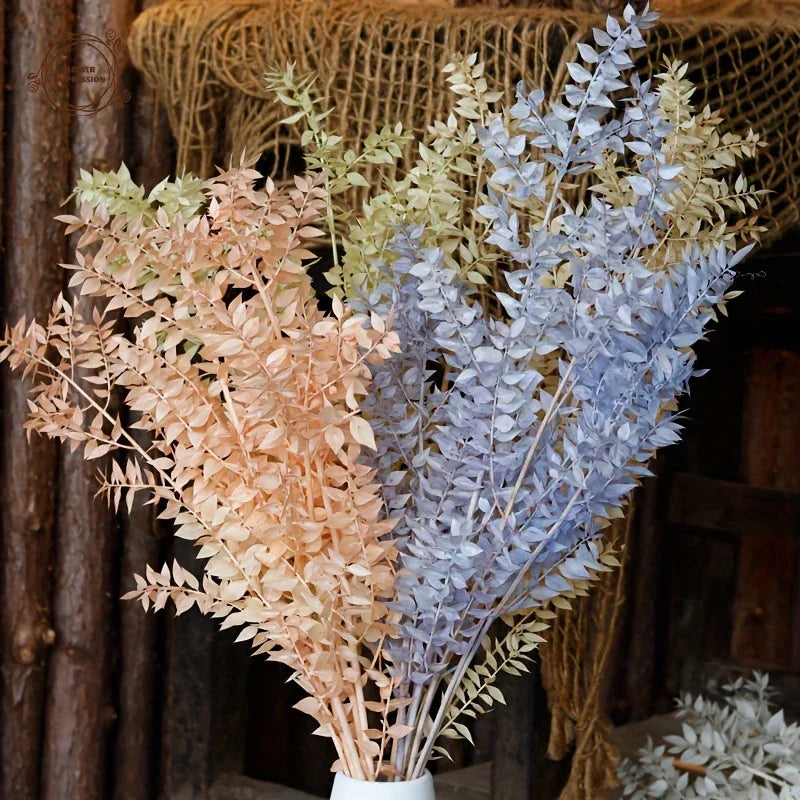 Natural Ruscus Dried Flower Bouquet 40g – Boho Home Decor Dried Flower Bouquet Axl
