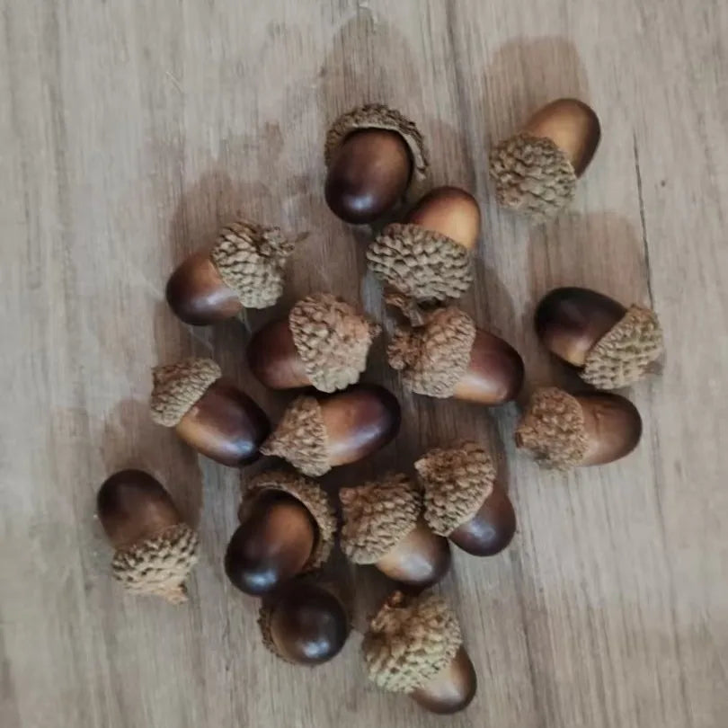 50 Pcs Faux Acorns – Autumn Vase Filler & Wreath Ornaments Seasonal Decor Ornaments Axl
