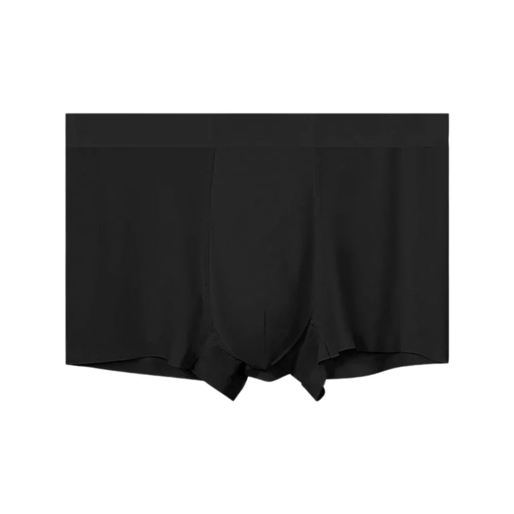 Men's Ice Silk Boxer Briefs – Soft Nylon Underwear L–4XL Men's Boxer Briefs Axl Black 1XL