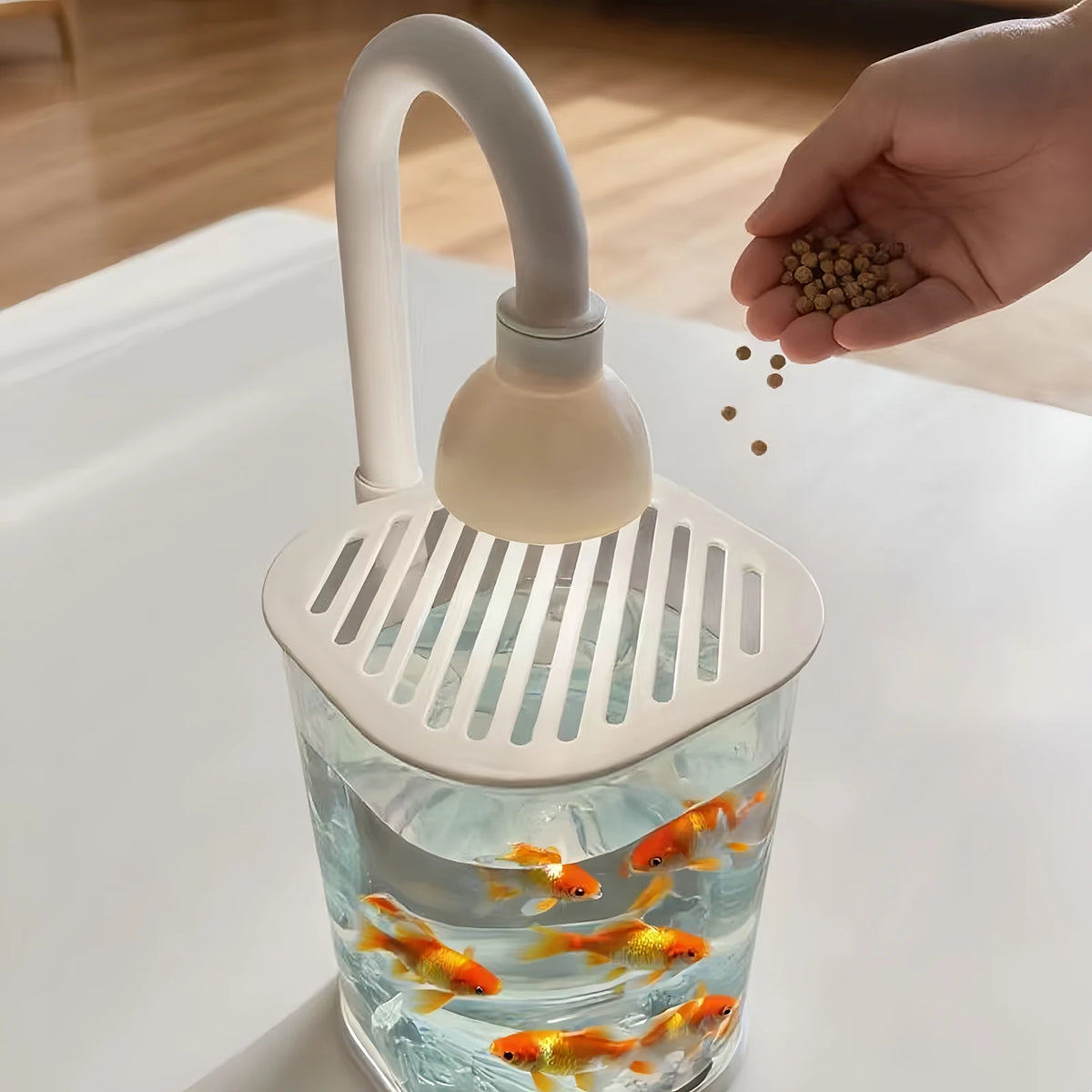 Starter Kit Small Tabletop Fish Tank with Light – Kids Gift Tabletop Fish Tank Axl