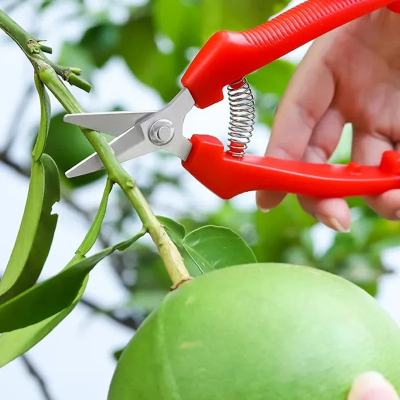 Bypass Pruning Shears – Sharp Stainless Steel Garden Scissors Bypass Pruning Shears Axl