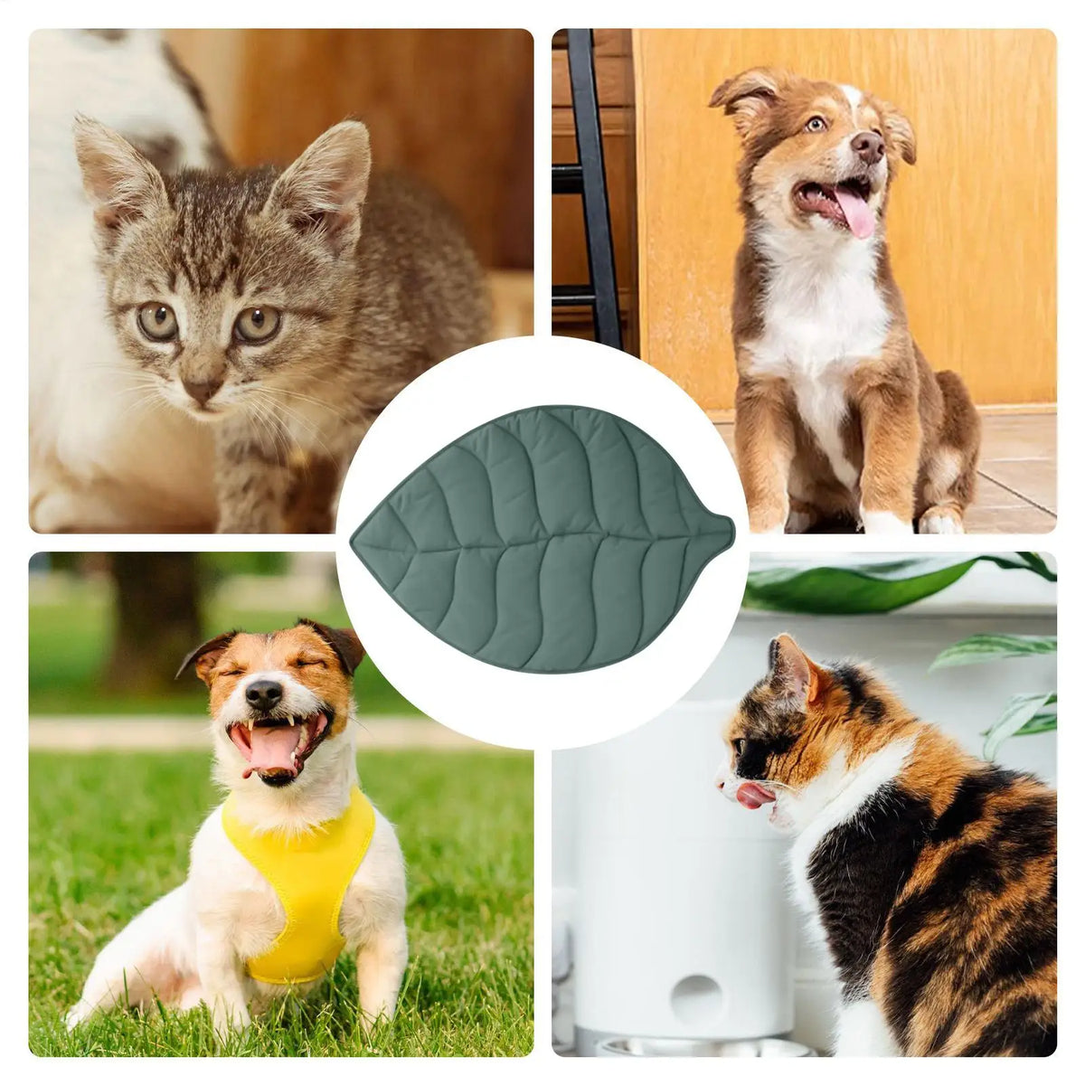 Leaves Shape Pet Cooling Mat – Non-Slip Washable Dog & Cat Pet Cooling Mat Axl