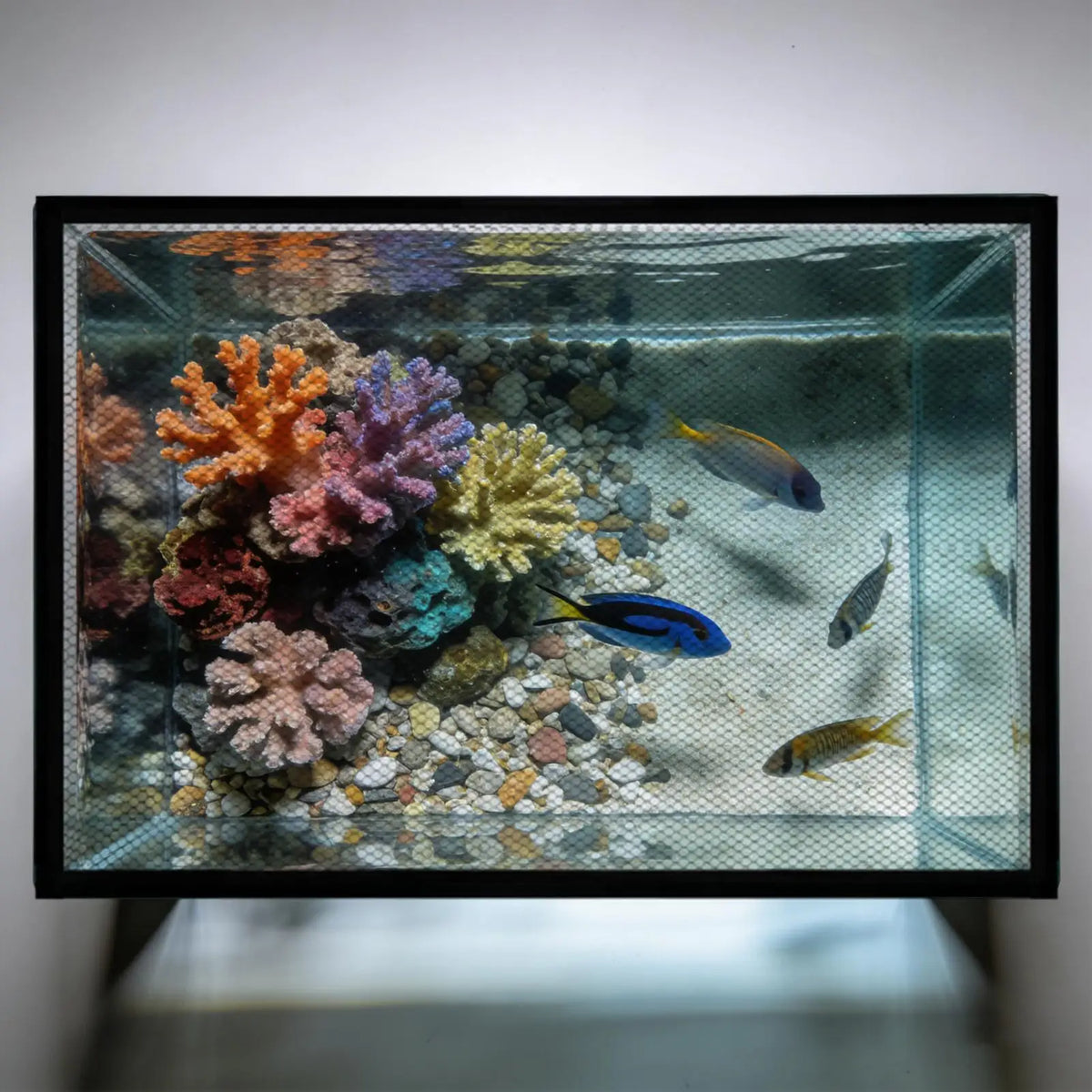 Aquarium Fish Tank Mesh Lid – Magnetic Anti-Jump Cover Aquarium Mesh Lid Axl