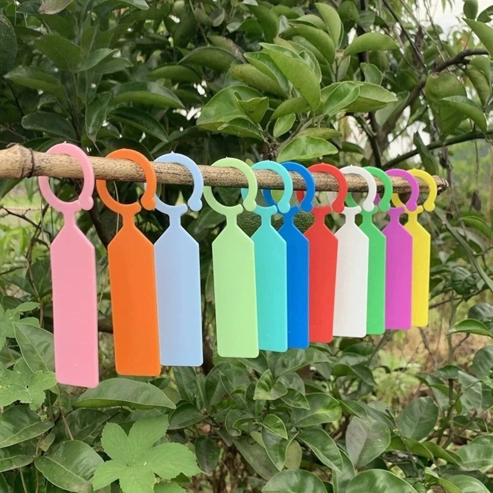 50 Pcs Waterproof Plant Labels – Bonsai & Garden Hanging Tags Garden Plant Labels Axl