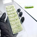 8Pcs Mini Faux Flower & Grass Clusters | Micro Landscape Decor Artificial Plant Decor Axl A