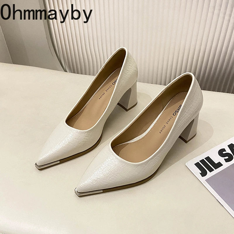 Women's Pointed Toe Slip-On Block Heel Pumps | Office & Party Women's Heeled Pumps Axl