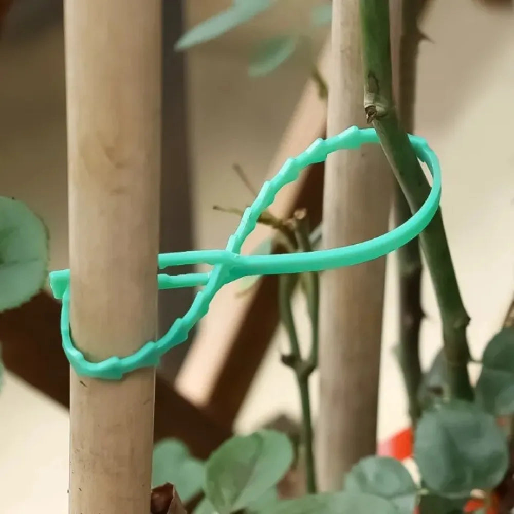 30pc Reusable Plant Twist Ties – Adjustable Stem Support Garden Twist Ties Axl