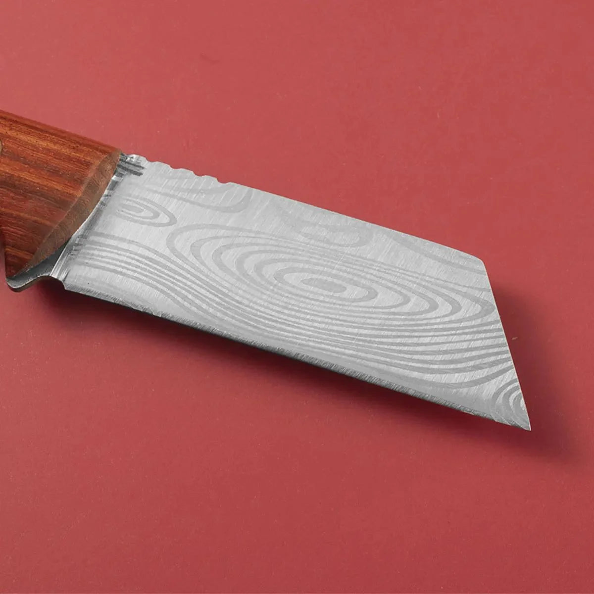 Stainless Steel Grafting Knife – Bark & Bud Fruit Tree Tool Grafting Knife Axl
