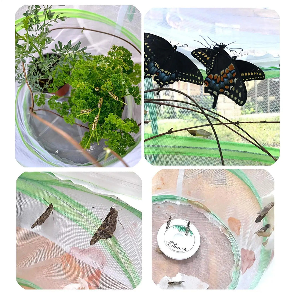 Mini Pop-Up Butterfly Habitat Cage – Foldable Mesh Enclosure Butterfly Habitat Cage Axl