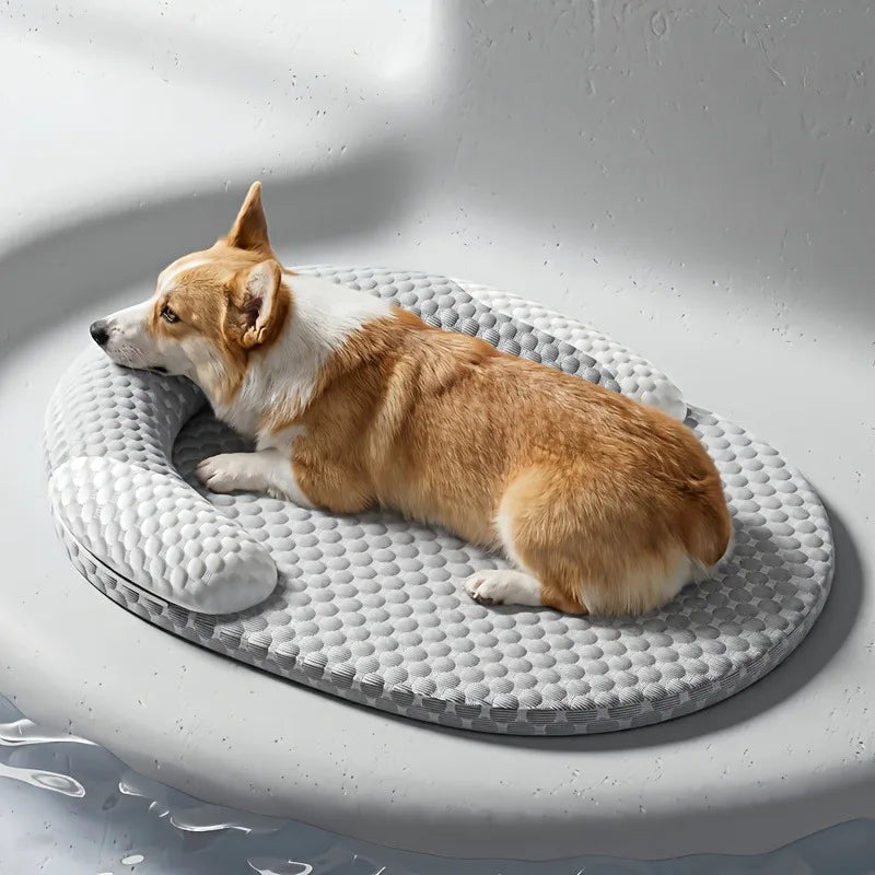 Cooling Raised Edge Pet Bed – Breathable Non-Slip Washable Dog & Cat Pet Bed Axl