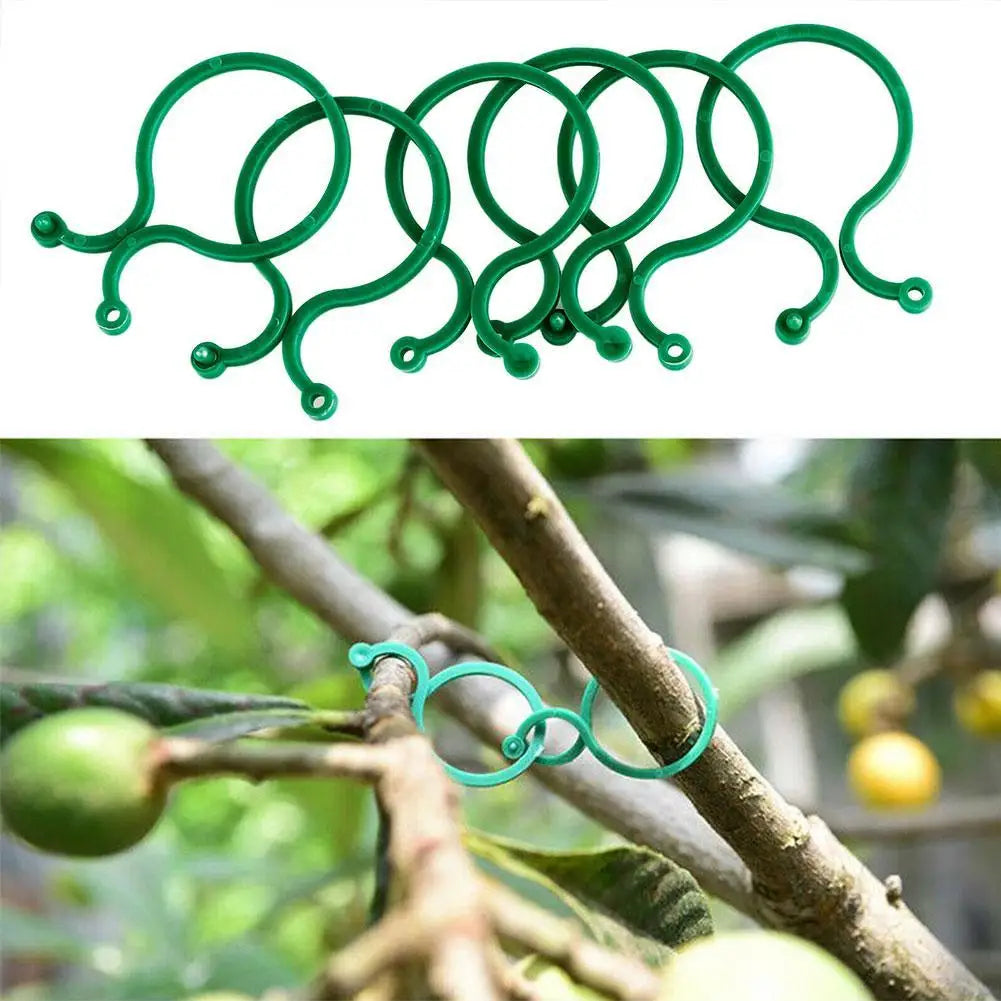 Garden Plant Support Clips for Tomato & Vine – 50/100 Pack Plant Support Clips Axl