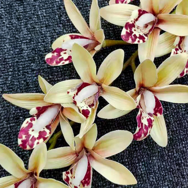 Artificial 9-Head Orchid Flower Branch | Real Touch Latex 77cm Artificial Flower Branch Axl
