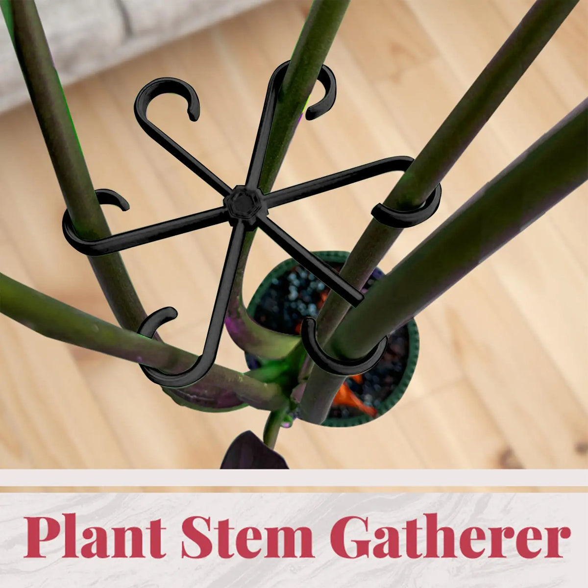 4-Piece Plant Stem Support Set for Climbing Indoor Plants Plant Stem Support Axl