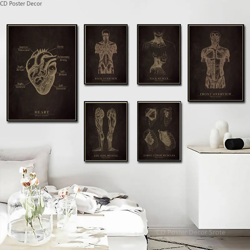 Vintage Anatomy Chalkboard Poster – Skull & Skeleton Wall Art Wall Art Poster Axl