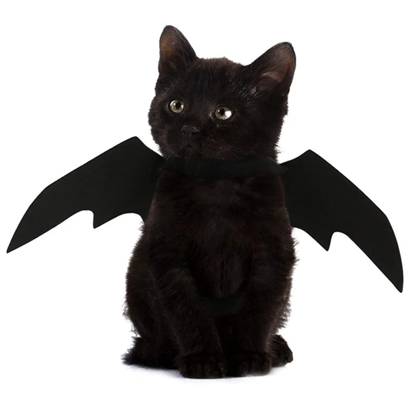 Pet Bat Wing Harness Costume – Halloween Outfit for Cats & Dogs Pet Halloween Costume Axl