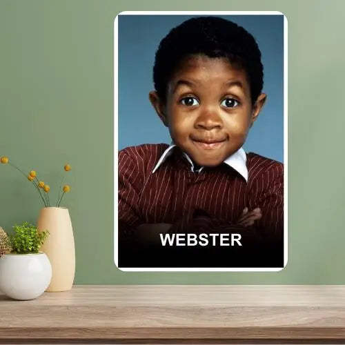 Webster Classic TV Show Metal Poster Sign | Retro Wall Decor Metal Wall Sign Axl aluminum sign aluminum 40x30cm