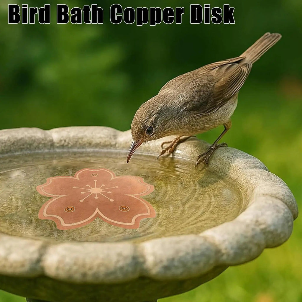 Copper Bird Bath Cleaning Disk – All-Season Algae Reducer Bird Bath Accessory Axl